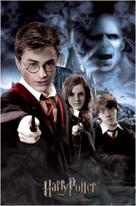 1art1 39192 Harry Potter - und der Orden des Phönix, Collage Poster (91 x 61 cm)