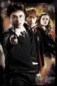 1art1 47962 Harry Potter - Und Der Halbblutprinz, Anti-Voldemort Poster (91 x 61 cm)