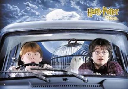 Harry Potter - Harry and Ron - Film Plakat Film Poster