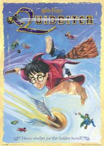 Harry Potter - Quidditch - Golden Snitch Poster