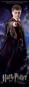 Harry Potter - und der Orden des Phönix, Zauberstab Tür-Poster (158 x 53cm)